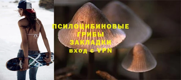 бошки Заводоуковск