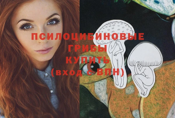 бошки Заводоуковск